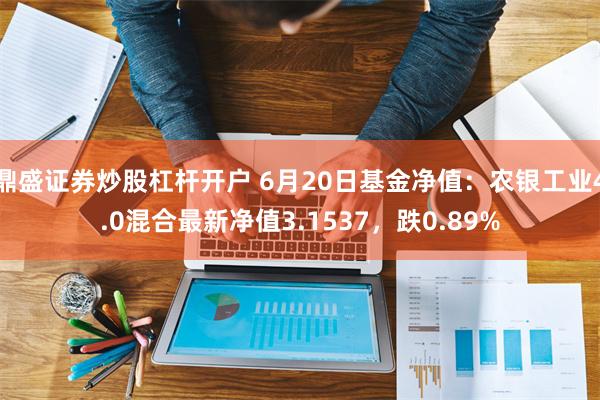 鼎盛证券炒股杠杆开户 6月20日基金净值：农银工业4.0混合最新净值3.1537，跌0.89%