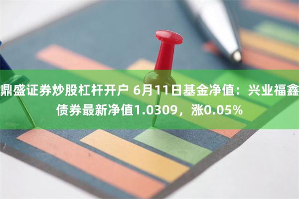 鼎盛证券炒股杠杆开户 6月11日基金净值：兴业福鑫债券最新净值1.0309，涨0.05%