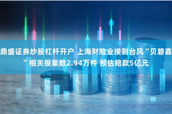 鼎盛证券炒股杠杆开户 上海财险业接到台风“贝碧嘉”相关报案数2.94万件 预估赔款5亿元