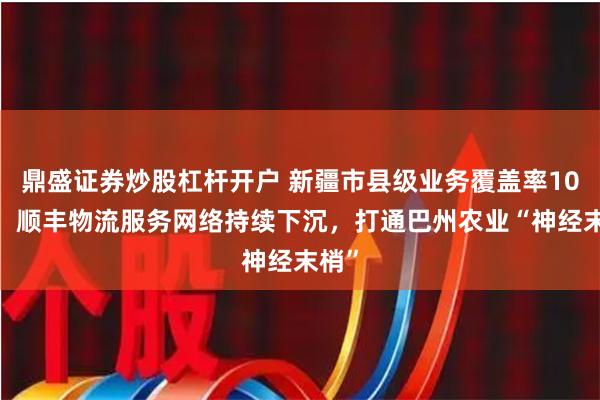 鼎盛证券炒股杠杆开户 新疆市县级业务覆盖率100%！顺丰物流服务网络持续下沉，打通巴州农业“神经末梢”