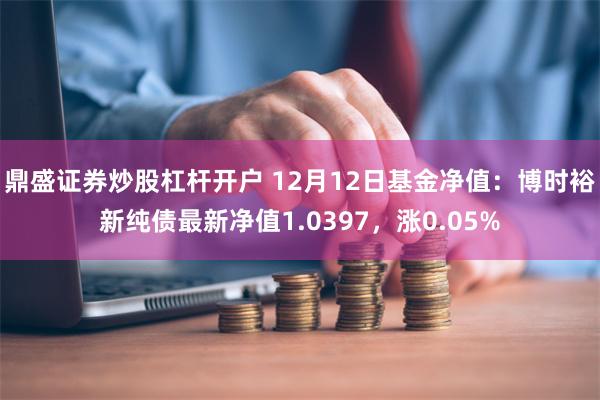 鼎盛证券炒股杠杆开户 12月12日基金净值：博时裕新纯债最新净值1.0397，涨0.05%